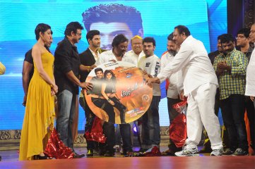 Alludu Seenu Audio Launch